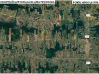 Sítio com 81,49 hectares - Vale do Anari/RO — foto 3