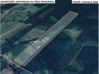 Sítio com 81,49 hectares - Vale do Anari/RO — foto 5