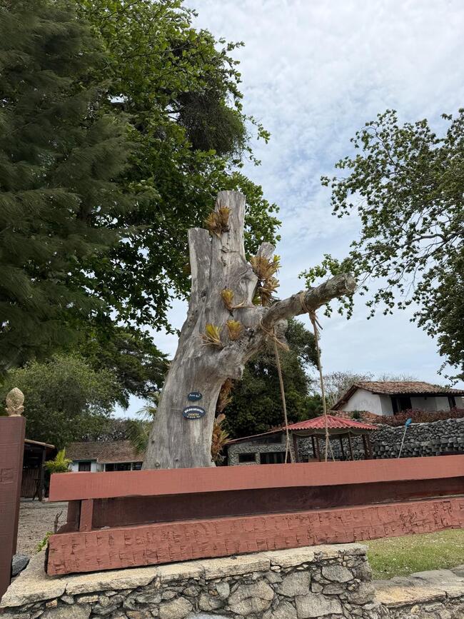 Casa Com 180m² De Área Construída E 1.862m² De Área Total Em Búzios — foto 5