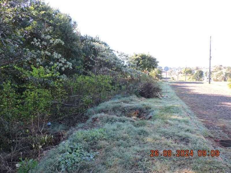 LOTE 001 Terreno Urbano — foto 5