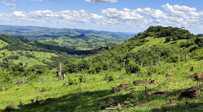 50% De Um Imóvel 39,33 Alq. Em Faxinal/PR — foto 3
