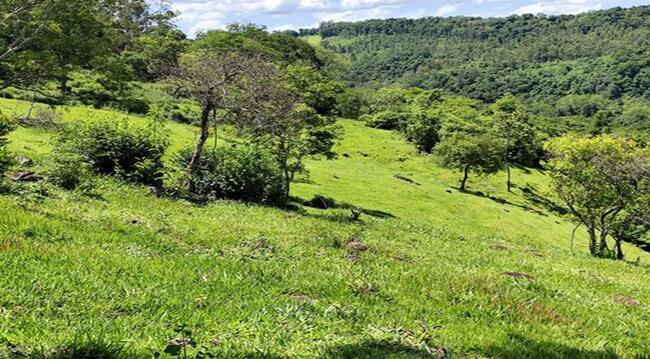 50% De Um Imóvel 39,33 Alq. Em Faxinal/PR — foto 4