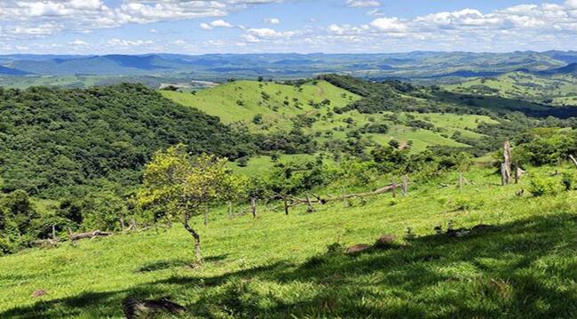 50% De Um Imóvel 39,33 Alq. Em Faxinal/PR — foto 5