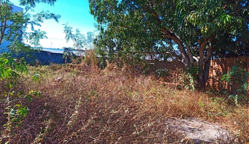 LOTE 001 Terreno