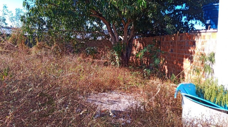 LOTE 001 Terreno — foto 3