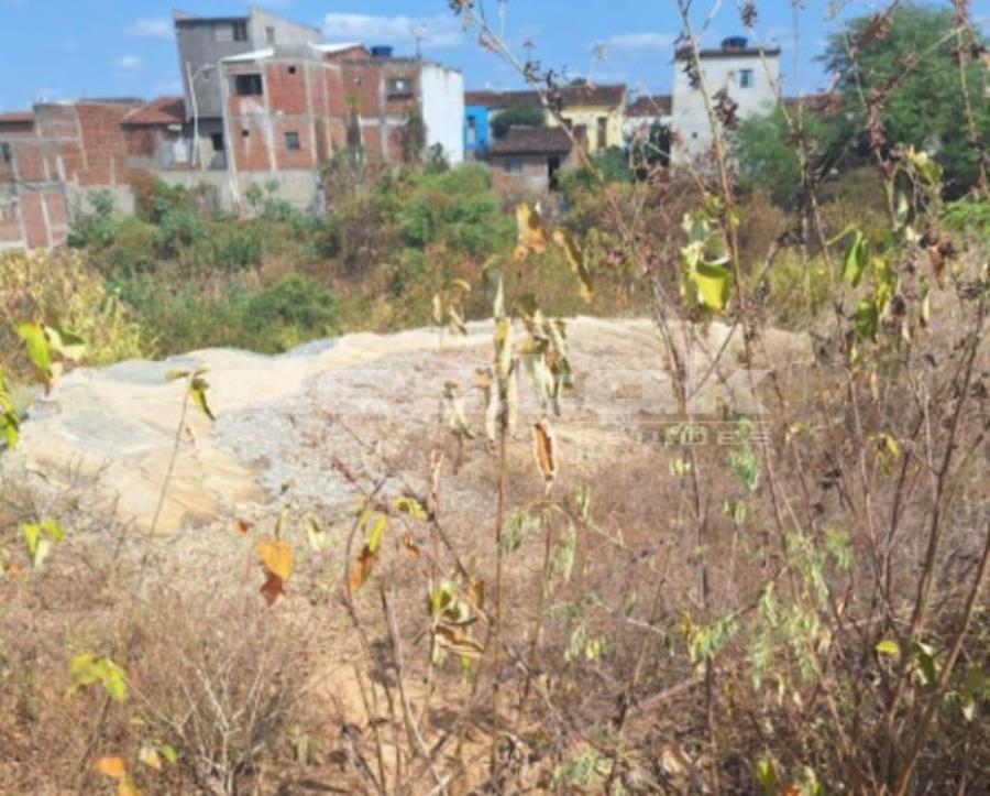 Terreno em Carnaíba/PE — foto 2