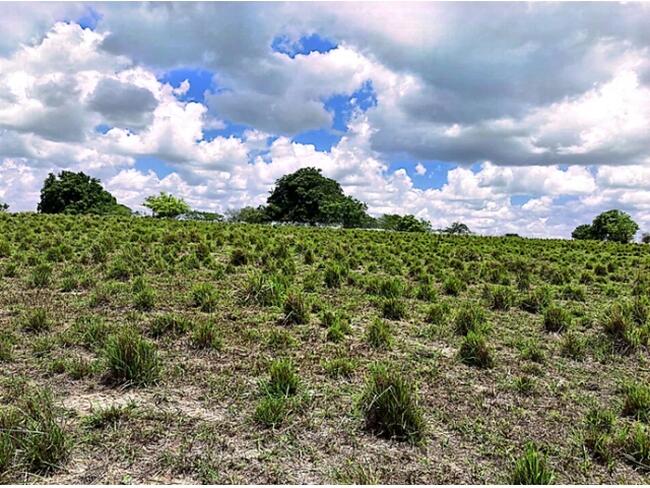 Sítio C/ Área De 14,2 Hectares - Nova Cruz/RN — foto 3