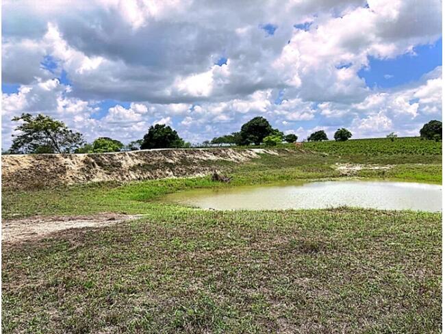Sítio C/ Área De 14,2 Hectares - Nova Cruz/RN — foto 4