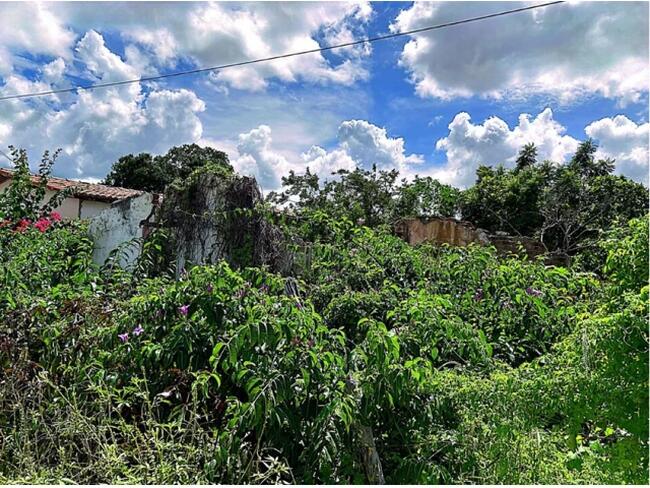 Casa 55m² - Terreno 1.500m² - Tangará/RN — foto 4