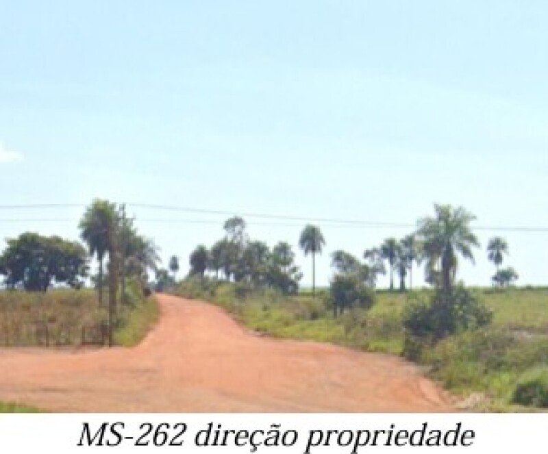 LOTE 001 ALIENAÇÃO FIDUCIÁRIA da FAZENDA KALAFATE - Área de 359ha no município de Bela Vista/MS — foto 3