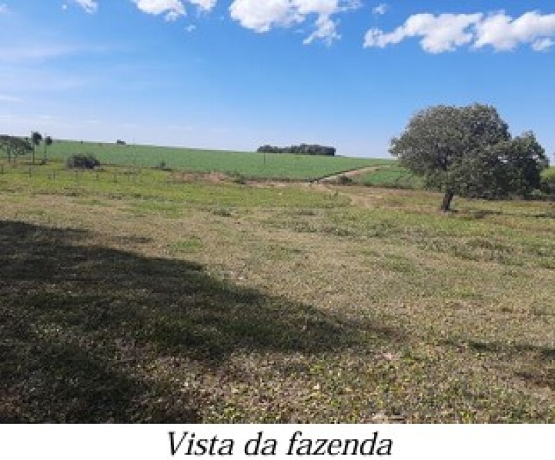 LOTE 001 ALIENAÇÃO FIDUCIÁRIA da FAZENDA KALAFATE - Área de 359ha no município de Bela Vista/MS — foto 4