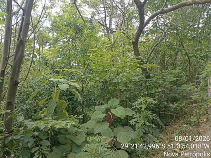 Terreno - Nova Petrópolis - RS — foto 5