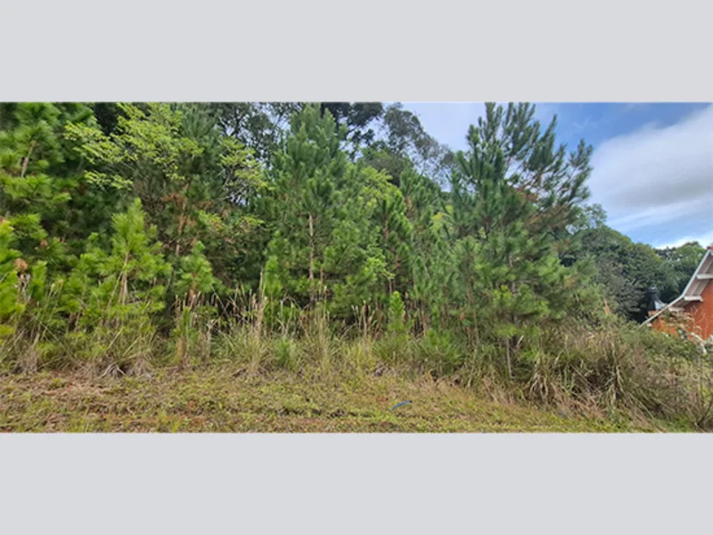 Terreno - Nova Petrópolis - RS