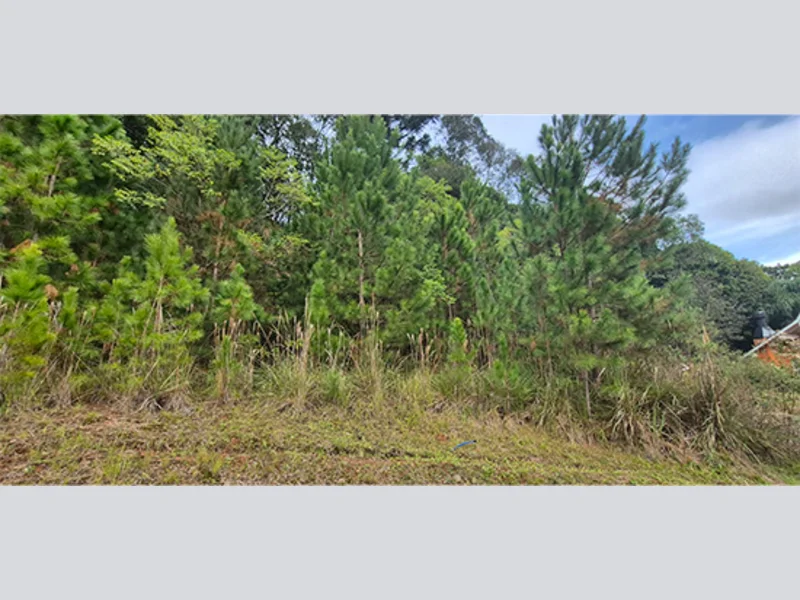 Terreno - Nova Petrópolis - RS — foto 3