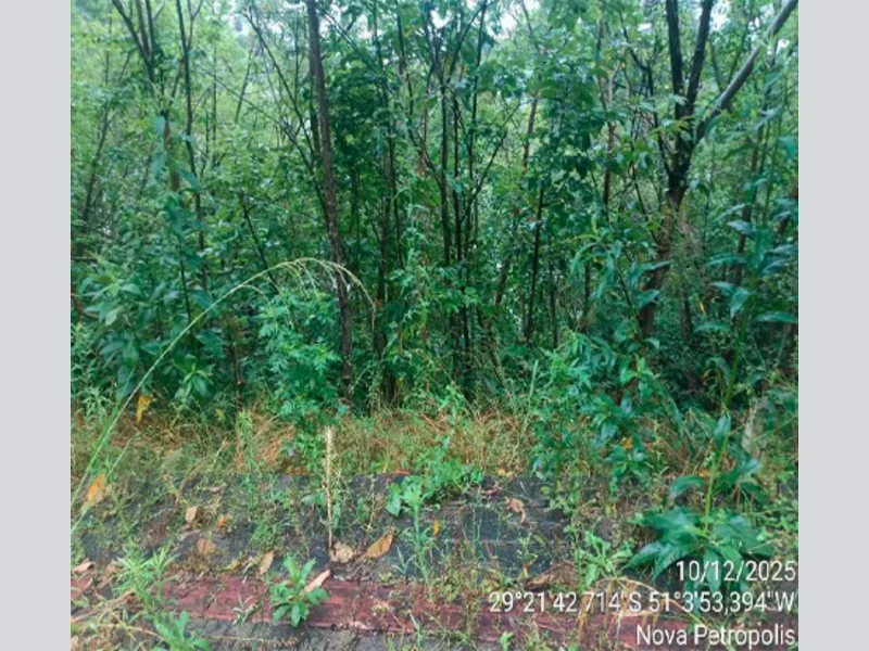 Terreno - Nova Petrópolis - RS — foto 3