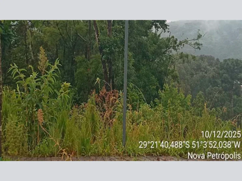 Terreno - Nova Petrópolis - RS — foto 4