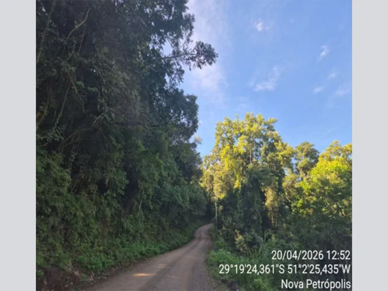 Terreno - Nova Petrópolis - RS — foto 3