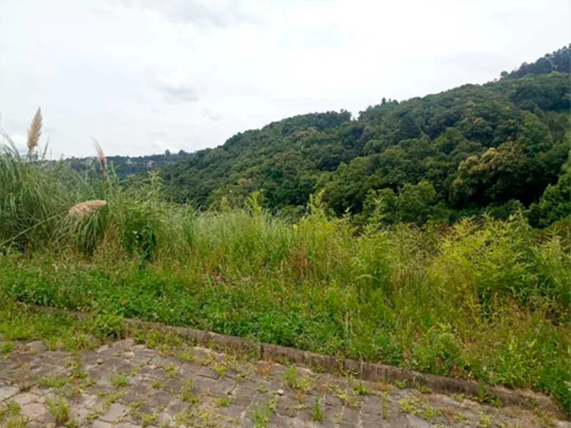 Terreno - Caxias do Sul - RS — foto 2