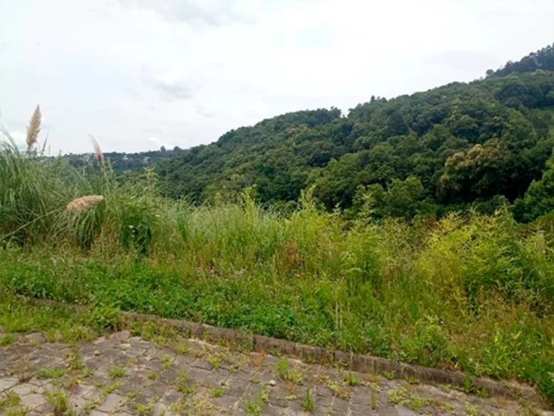 Terreno - Caxias do Sul - RS — foto 4