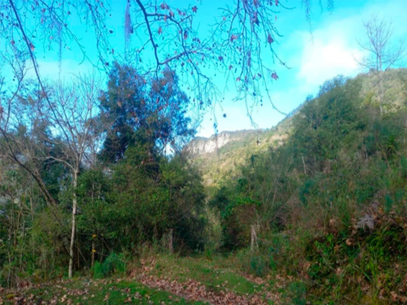 Terreno - Caxias do Sul - RS — foto 2