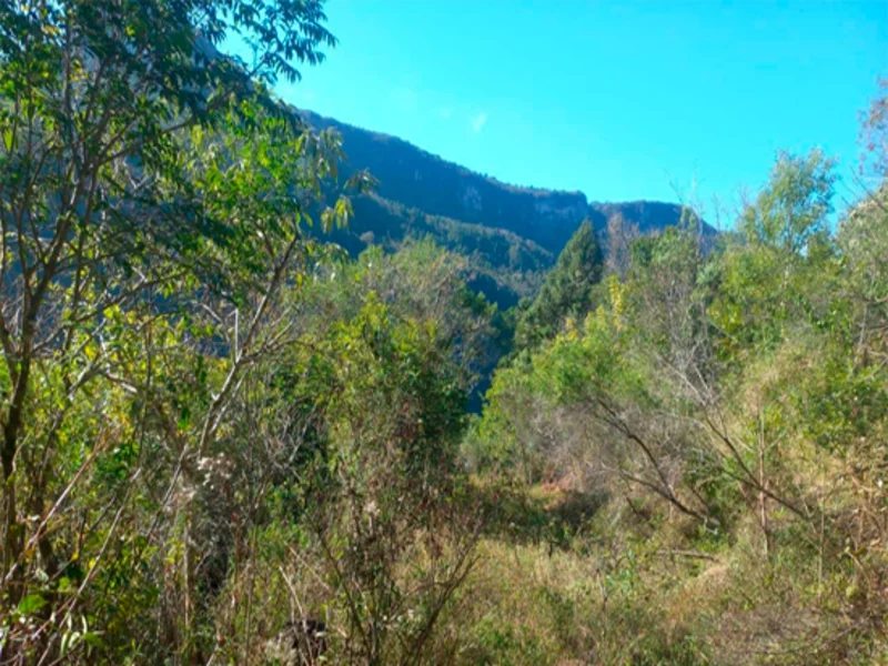 Terreno - Caxias do Sul - RS — foto 3