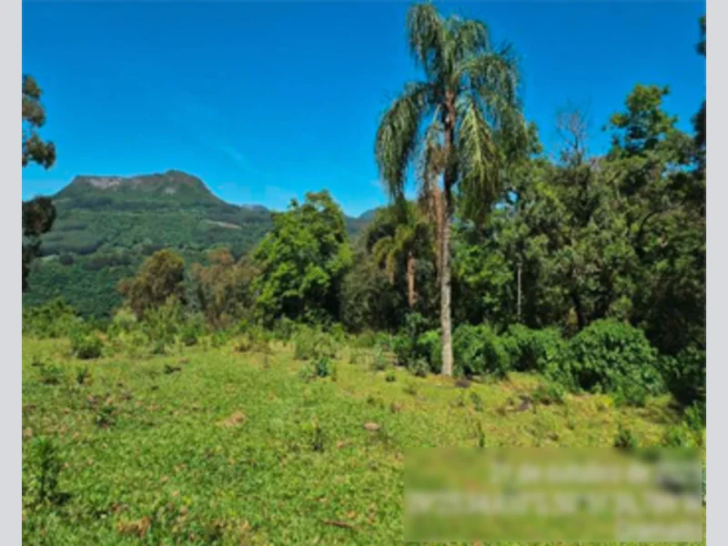 Fração de terra - Gramado - RS — foto 2