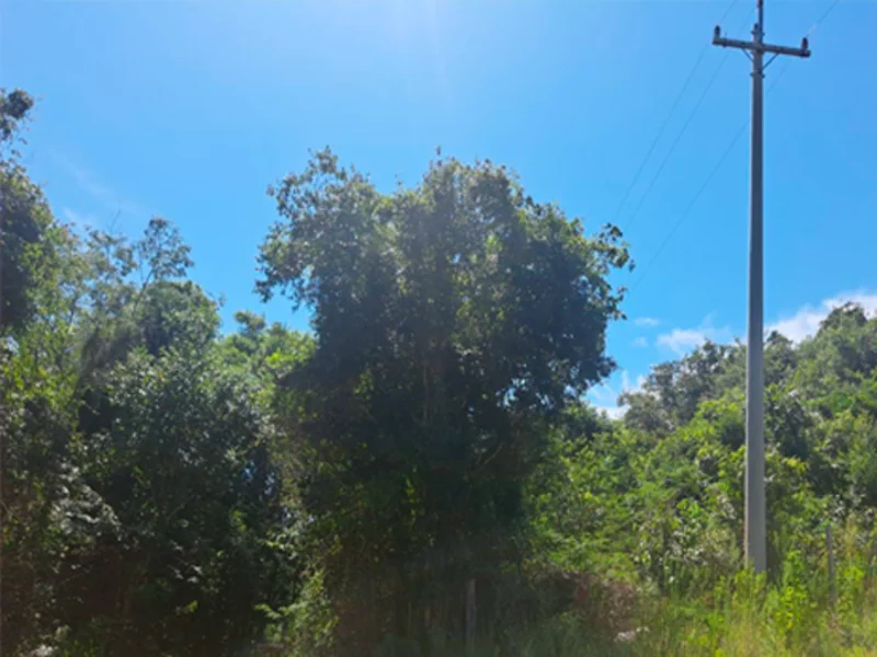 Terreno - Bento Gonçalves - RS — foto 3