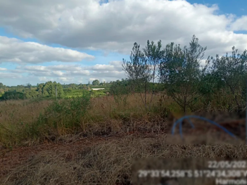 Terreno - Harmonia - RS — foto 2