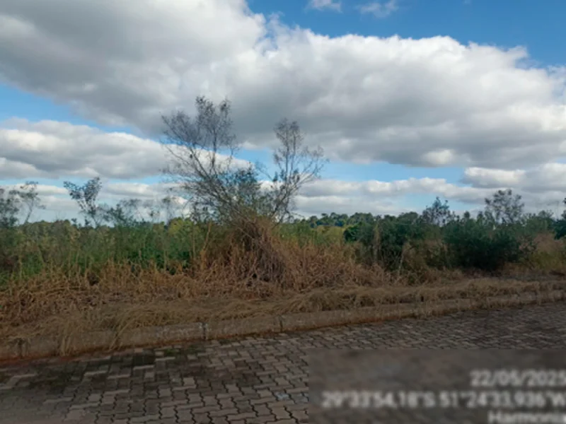 Terreno - Harmonia - RS — foto 5