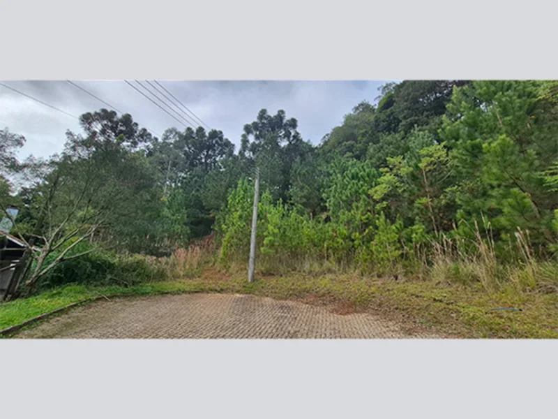 Terreno - Nova Petrópolis - RS — foto 2