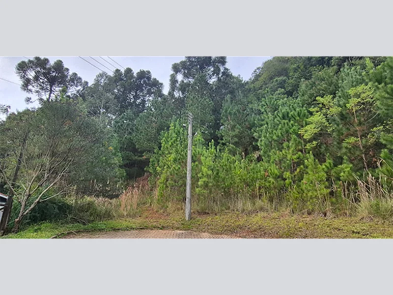 Terreno - Nova Petrópolis - RS — foto 4