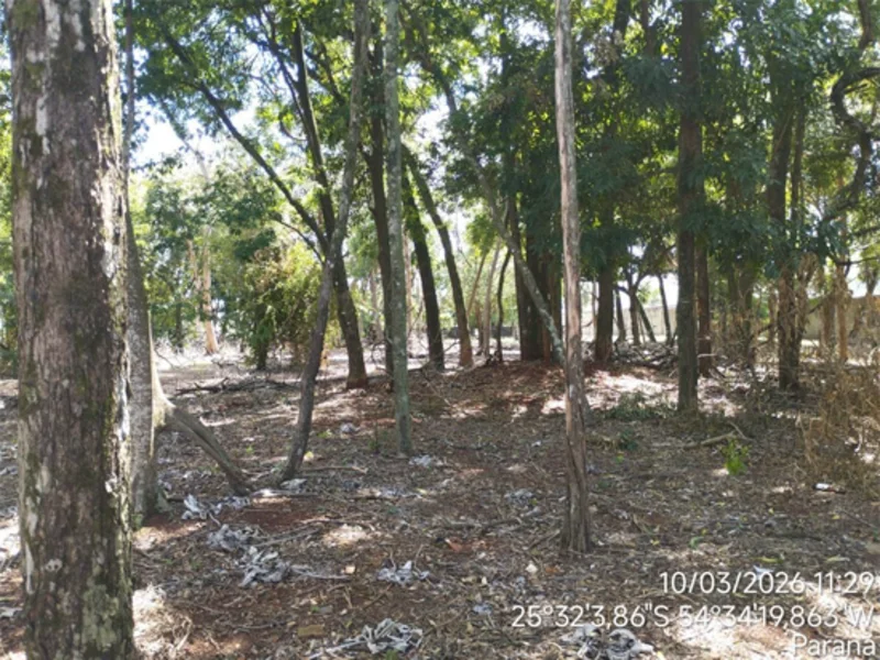 Terreno - Foz do Iguaçu - PR — foto 5