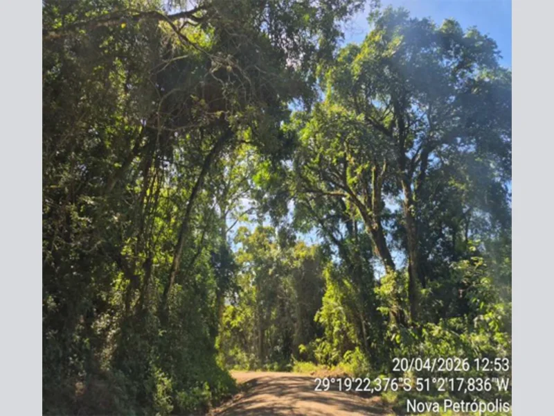 Terreno - Nova Petrópolis - RS — foto 3