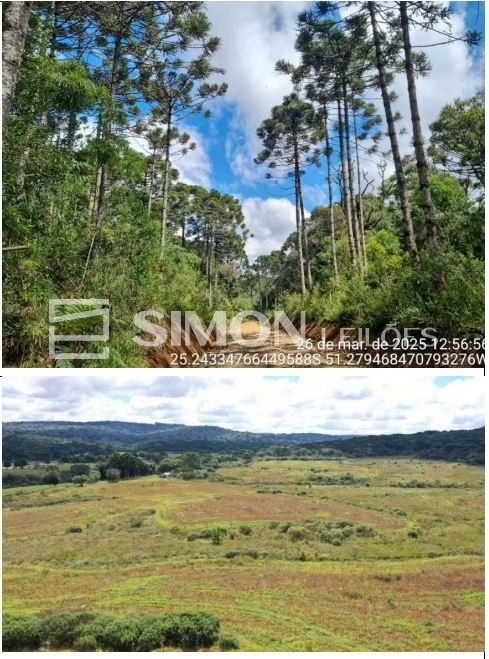 Fração correspondente a 70.000m² do Terreno de faxinais, constituído de parte da Gleba nº 20, situado no imóvel denominado “Campo de Dentro”, no Distrito de Guará, com área total de 3.692.154,00m², co