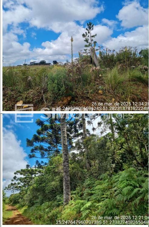 Fração correspondente a 70.000m² do Terreno de faxinais, constituído de parte da Gleba nº 20, situado no imóvel denominado “Campo de Dentro”, no Distrito de Guará, com área total de 3.692.154,00m², co — foto 2