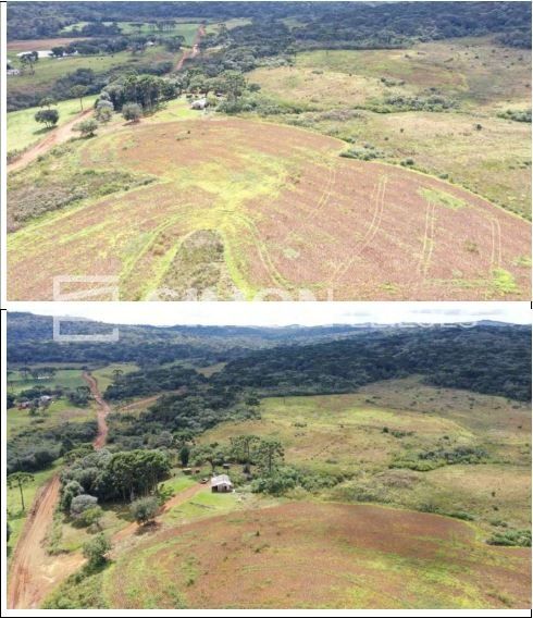 Fração correspondente a 70.000m² do Terreno de faxinais, constituído de parte da Gleba nº 20, situado no imóvel denominado “Campo de Dentro”, no Distrito de Guará, com área total de 3.692.154,00m², co — foto 3