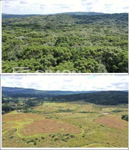 Fração correspondente a 70.000m² do Terreno de faxinais, constituído de parte da Gleba nº 20, situado no imóvel denominado “Campo de Dentro”, no Distrito de Guará, com área total de 3.692.154,00m², co — foto 4