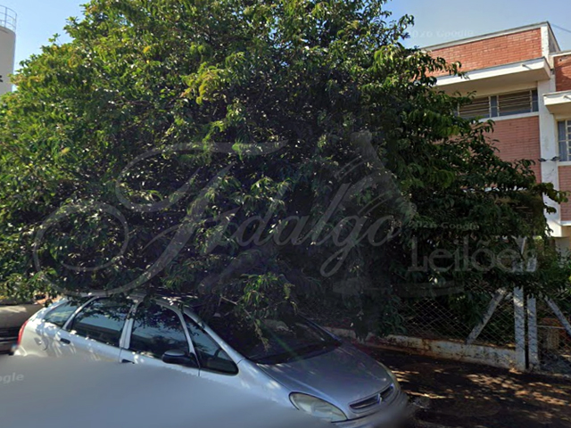 Imóvel 1000m² — foto 2