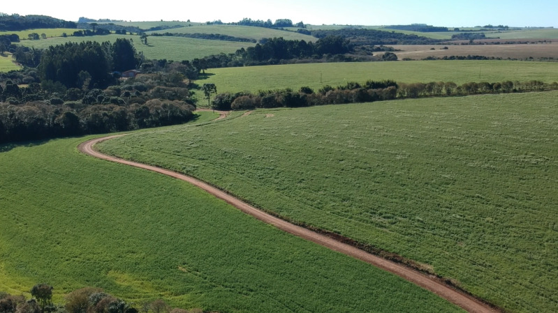 Lote 007 a Fração Ideal de 38.535,98m² Sobre Uma Parte de Terras de Campo e Capoeiras, com a Área de