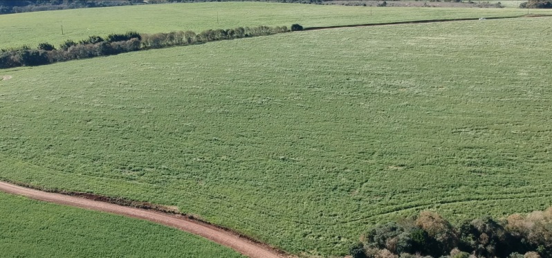 Lote 007 a Fração Ideal de 38.535,98m² Sobre Uma Parte de Terras de Campo e Capoeiras, com a Área de — foto 3