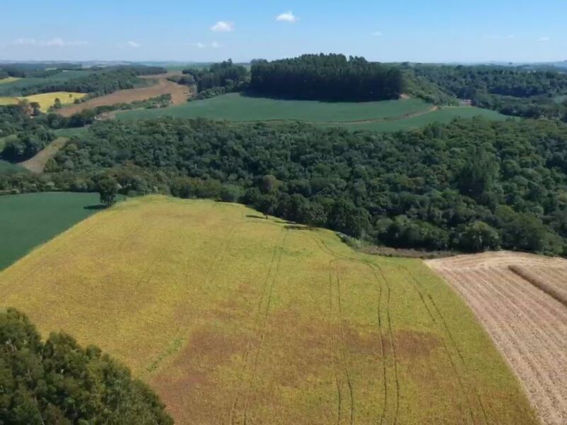 Lote 008 Os Direitos e Ações da Fração Ideal de 8.410,71m² Sobre o Lote Rural Nº 178, com Área Total — foto 5