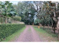 Prédio - 2.626,97m² - Terreno - 20.000m²- B.Cristo Rei — foto 5