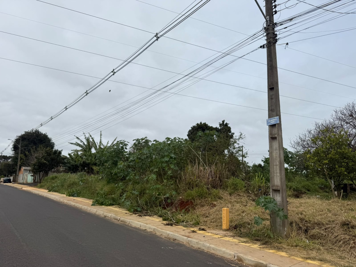 Imóvel 2 Matrícula 34.974: Imóvel com 533,40m² em Ponta Grossa - PR