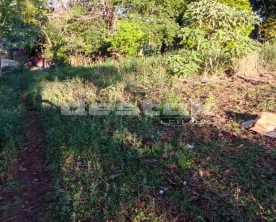 Terreno em Marmeleiro/PR — foto 3