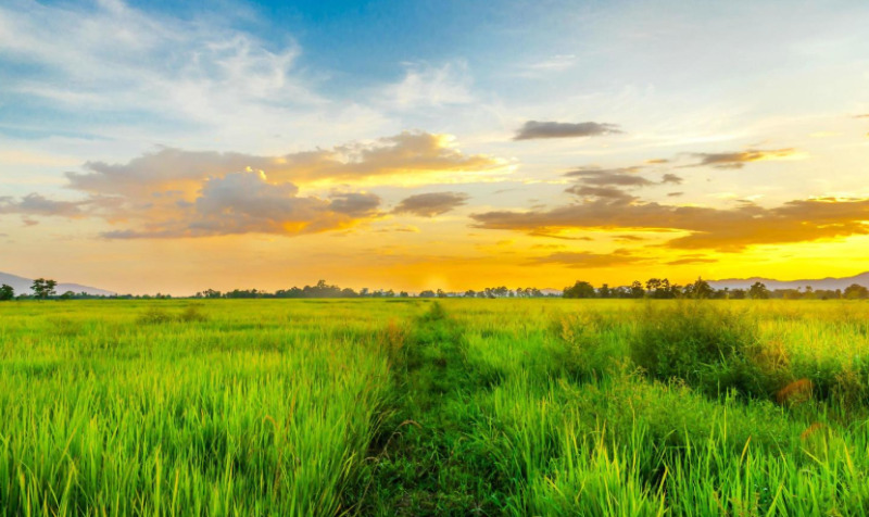 Lote 004-2 Fração Ideal de 20% de 104 Hectares na Fazenda dos Delgados em Juiz de Fora/MG