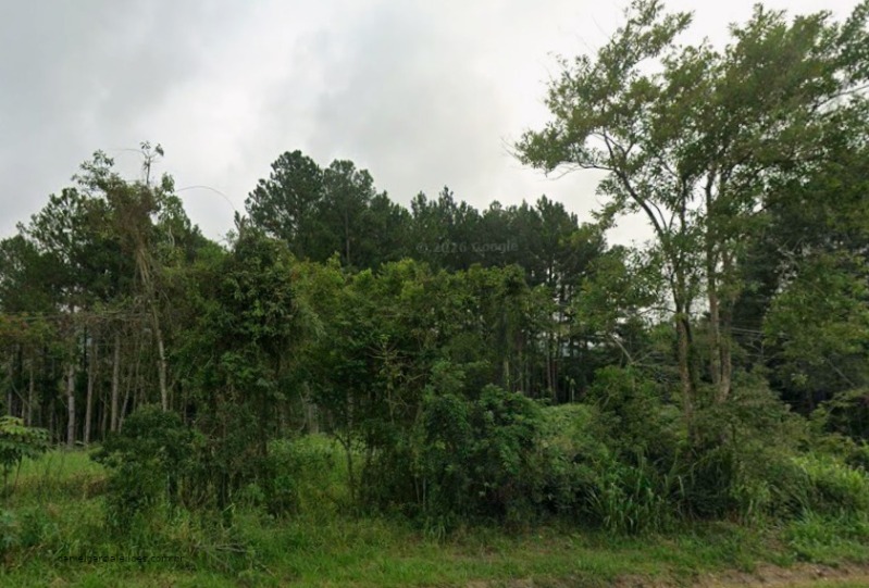 LOTE 001 Terreno