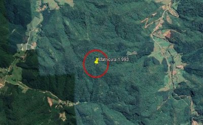 Imóvel Rural com Área Total de 16,135 Ha- em Apiúna/SC — foto 3