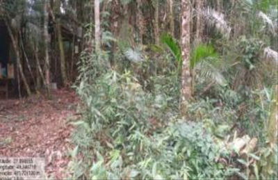 Imóvel Rural com Área Total de 16,135 Ha- em Apiúna/SC — foto 4