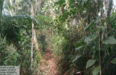 Imóvel Rural com Área Total de 16,135 Ha- em Apiúna/SC — foto 5