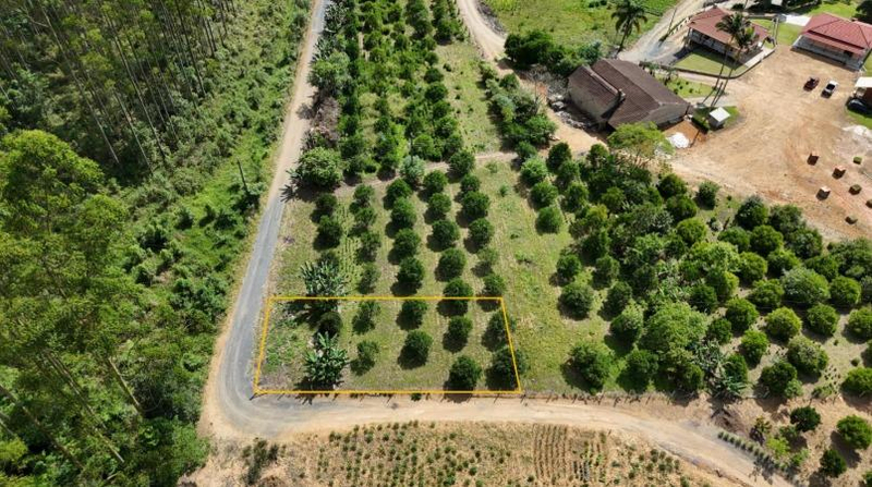 Imóvel Urbano com Área Total de 453,04 M2- em Dona Emma/SC — foto 2